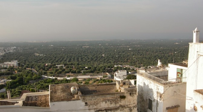 In Puglia con “Braccialetti Rossi”, itinerari da Fasano alla Valle d’Itria