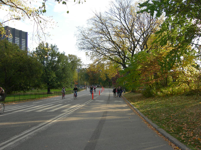 New York - Central Park © Maria Carla Rota, 2013