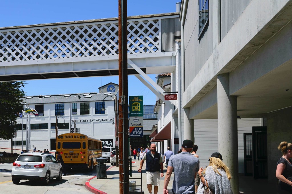 Monterey Bay Aquarium © Paolo Rota, 2015